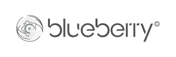 Blueberry Glasses service optique en ligne
